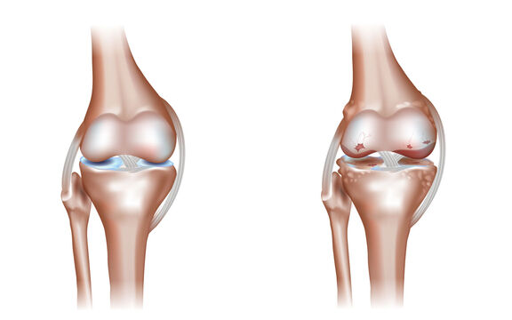 Fotolia_82038802_M.jpg