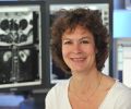 Dr. med. Kerstin Berg | Fachärztin für Radiologie bei Radiologie 360° in der Praxis in der Kamper Straße Solingen-Ohligs